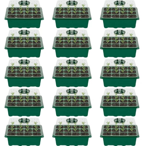 Without light,Green,⏳Limited Offer - Buy 15